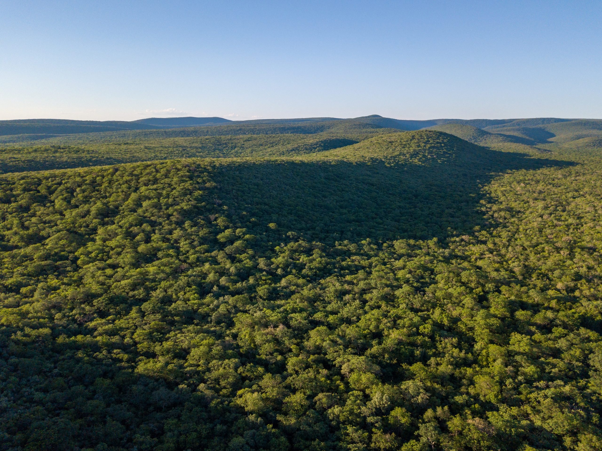 Measuring the impact of Paraguay’s forest policies
