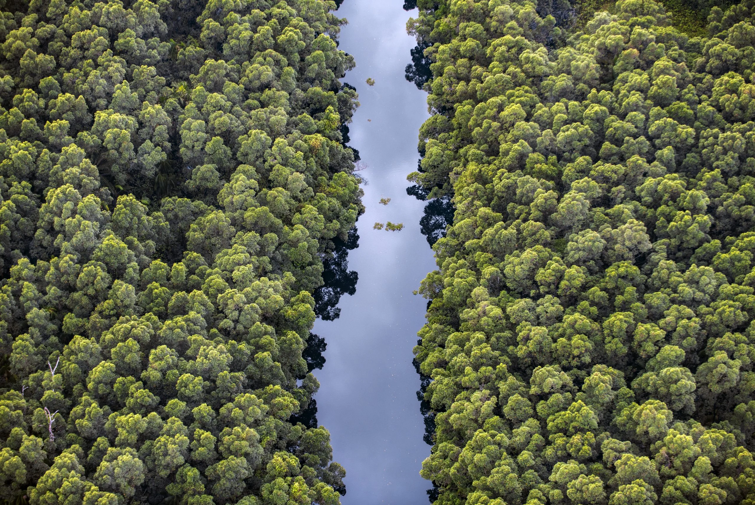 Brazil kicks off just transition tracking project