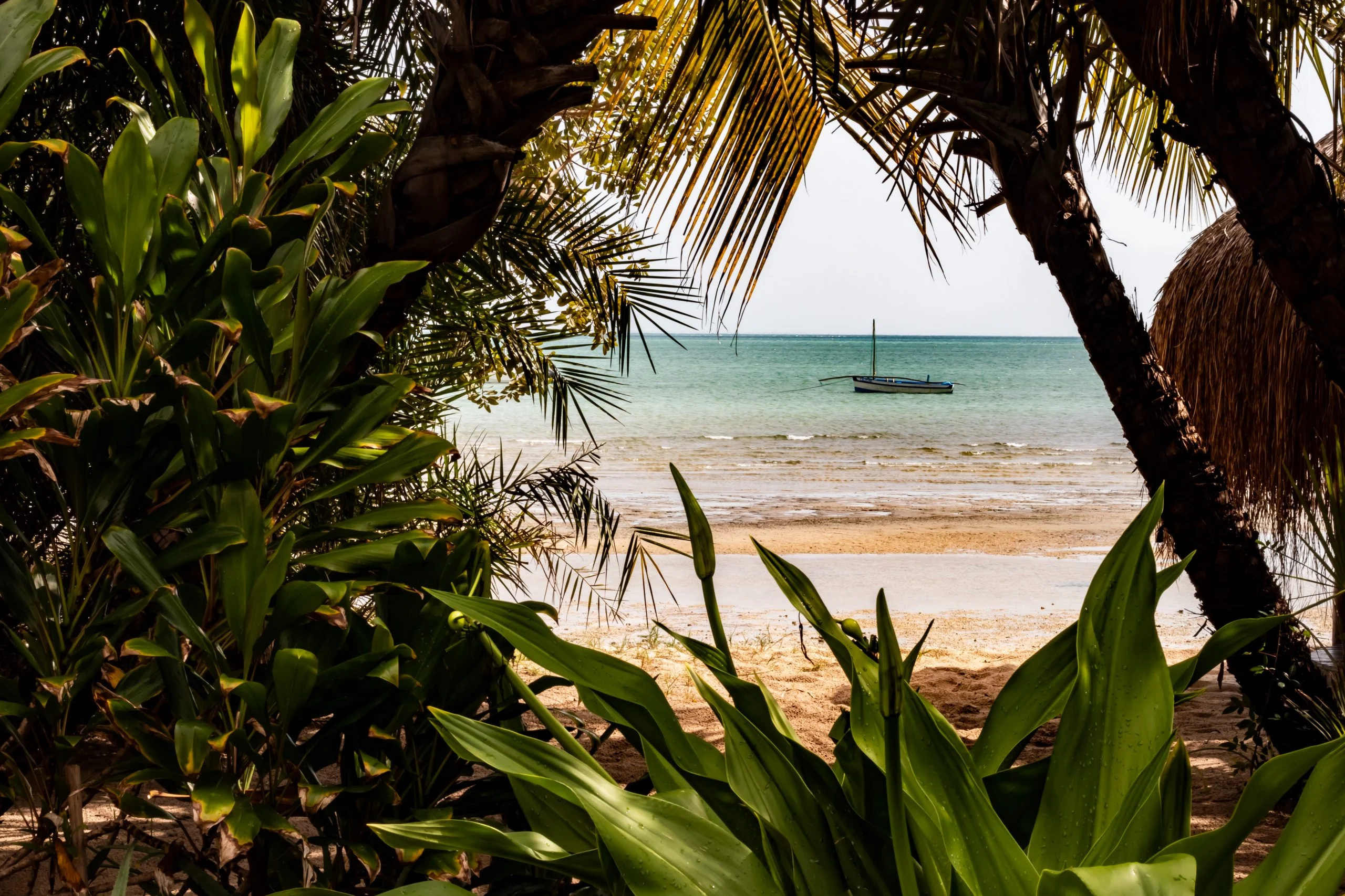 Transparency reaches new level in Mozambique