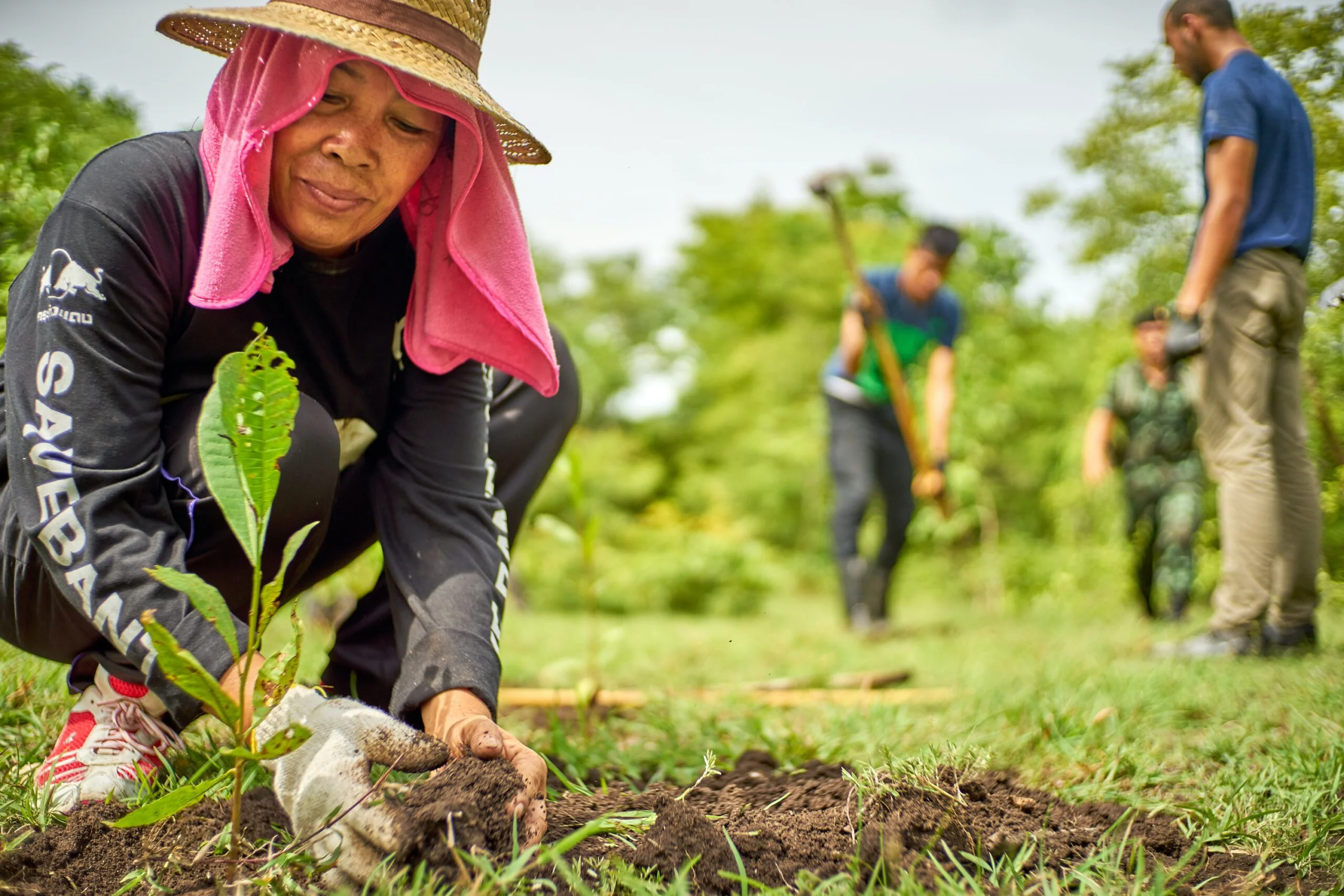 New practical guide helps countries report on adaptation through the B