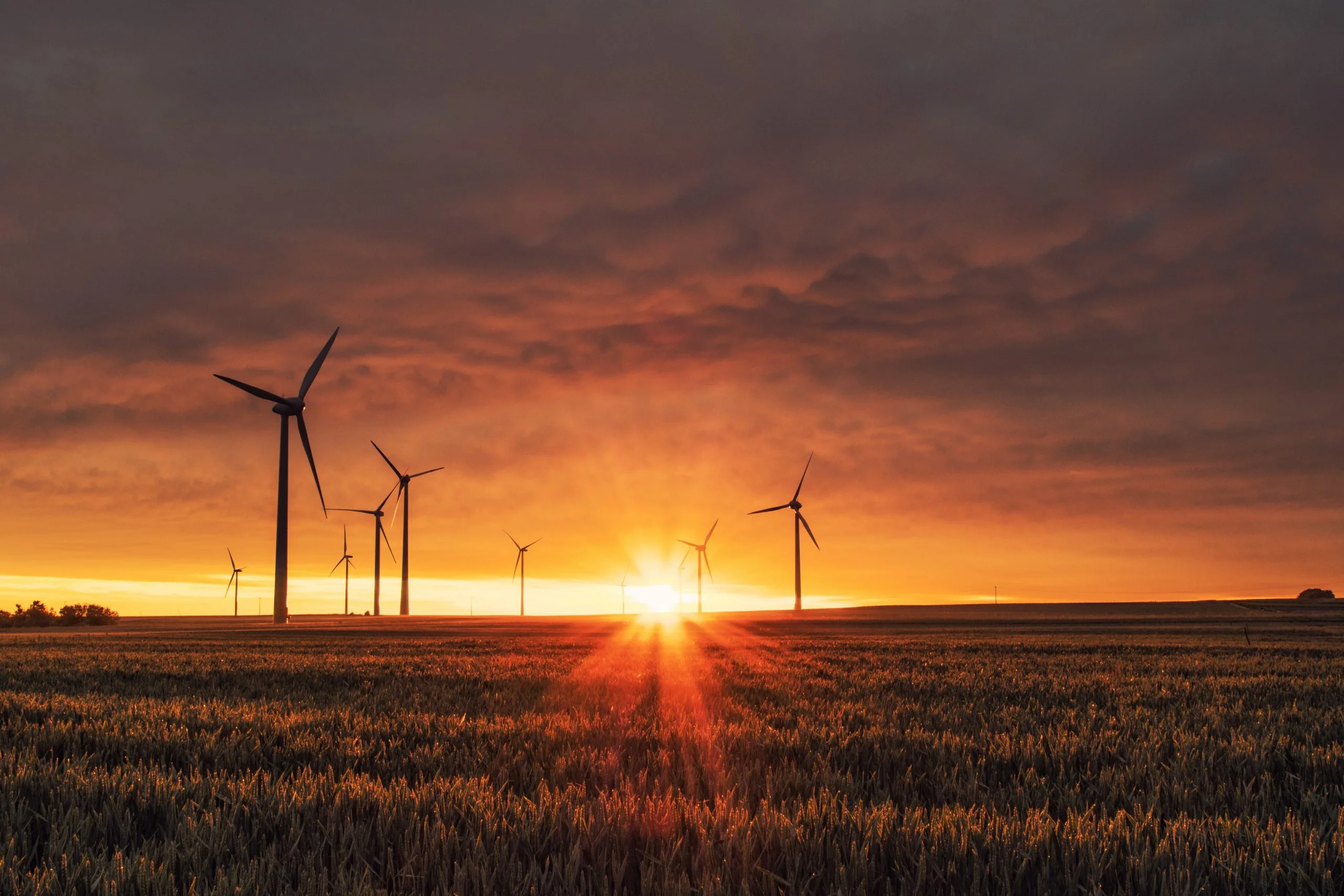 Call for Proposals: Support for Transparency for Adaptation and Renewa
