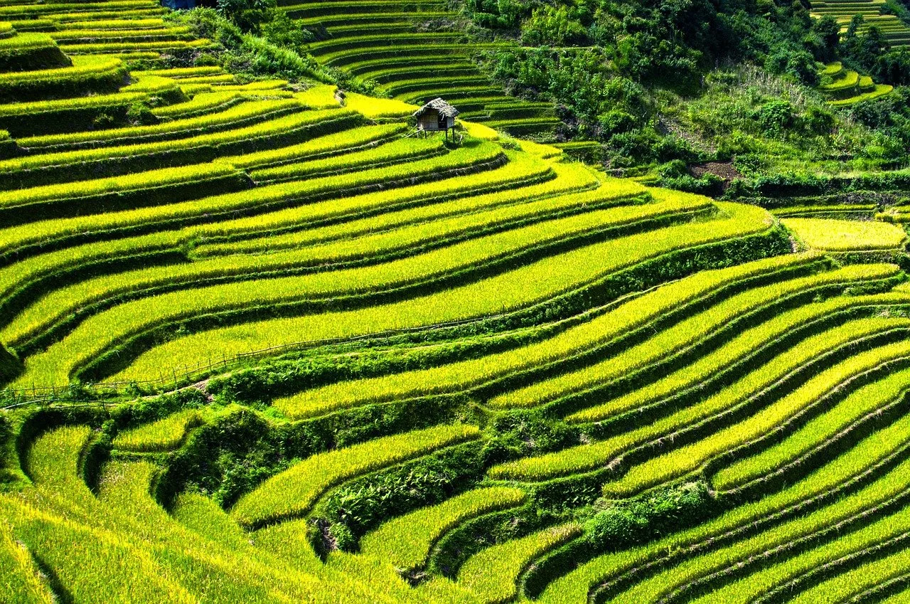 Revised Agriculture Guide Coming Soon