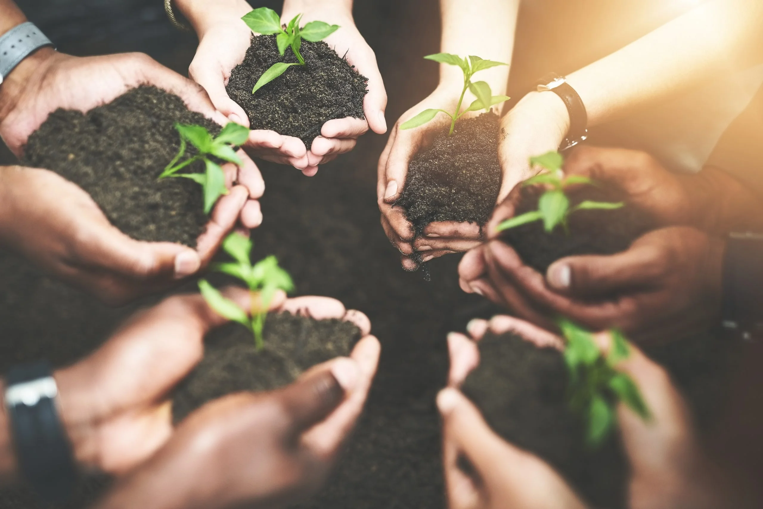 Pilot studies measure the sustainable development impact of climate policies in Bolivia and South Africa