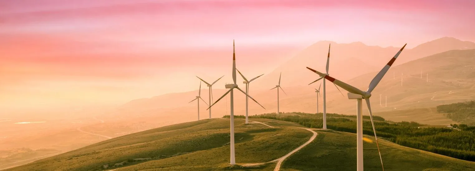 Webinar: Assessing the impacts of renewable energy policies