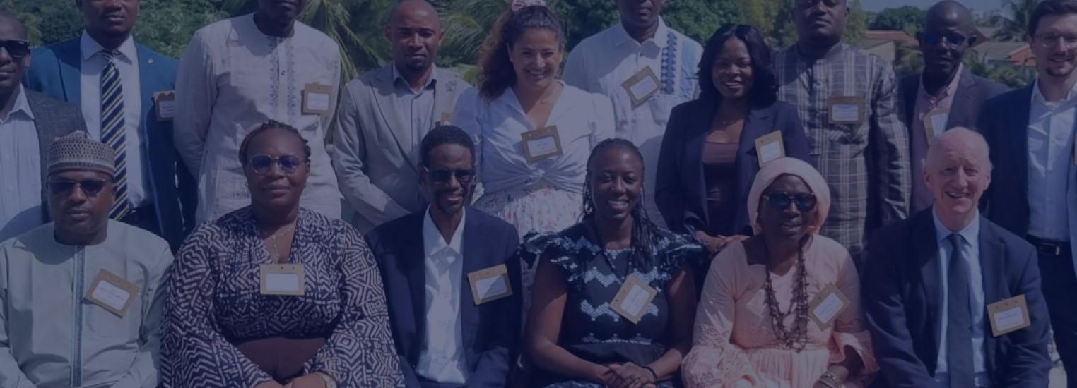 From climate finance needs to strategic investment plans: Lessons from Francophone Africa