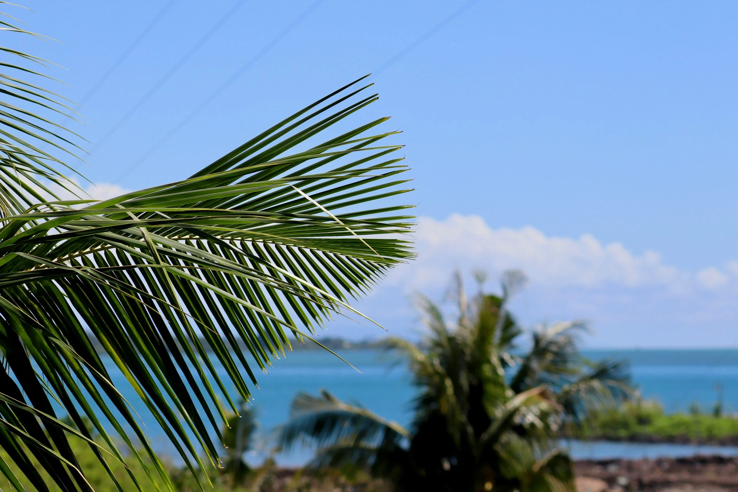 Samoa strengthens climate data frameworks with ICAT project launch